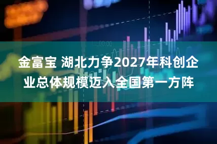 金富宝 湖北力争2027年科创企业总体规模迈入全国第一方阵