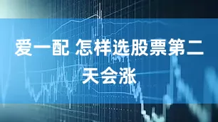 爱一配 怎样选股票第二天会涨